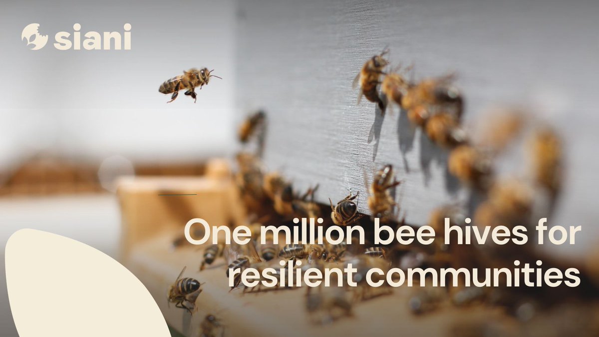 BLOG POST | <a href="/LesegoSerolong/">Lesego Serolong Holzapfel</a>, founder of <a href="/Bee_Loved_Honey/">Bee Loved Honey</a> in #SouthAfrica, on the importance of #beekeeping for women &amp; youth
The Beekeeper Training Program provides job opportunities, enhances livelihoods &amp; educates on 🐝' role in supporting #FoodSecurity

bit.ly/3PVvFSl