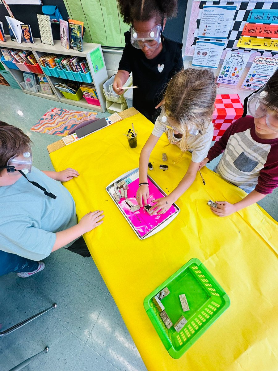 Ms. Markley tweet media