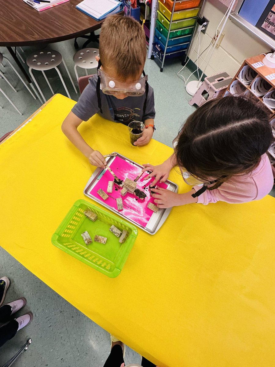 Ms. Markley tweet media