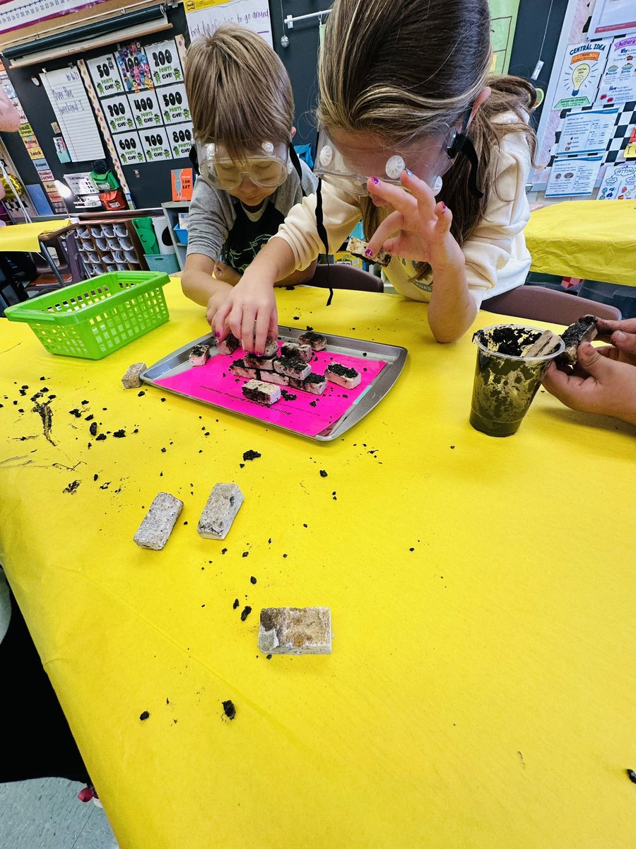 Ms. Markley tweet media