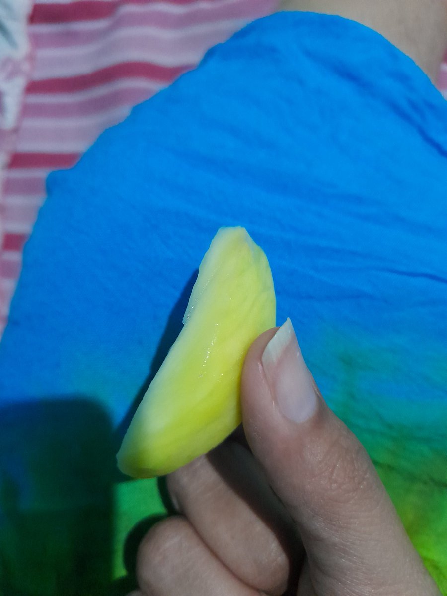 rskdrmnt's tweet photo. Luar biasa sekali pacar saya ini, pacarnya sakit dibeliin mangga muda. Pakk ini saya demam sama kena asam lambung bukan lagi ngidammm 😂 https://t.co/9VRTMhSFTt