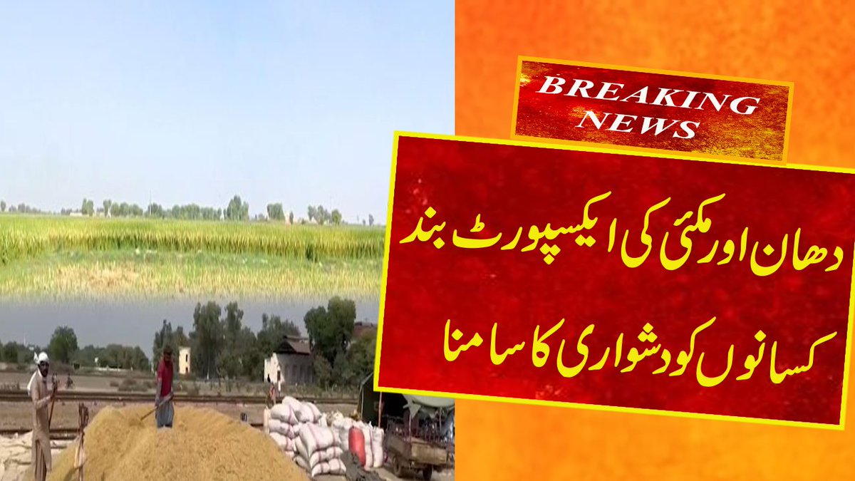 StarAsiaTv_hd's tweet image. Farmers woprried ,Maize Export Stopped/#maize #export #stoped #pakistan... youtu.be/62Nn-QpLSVY?si… via @YouTube