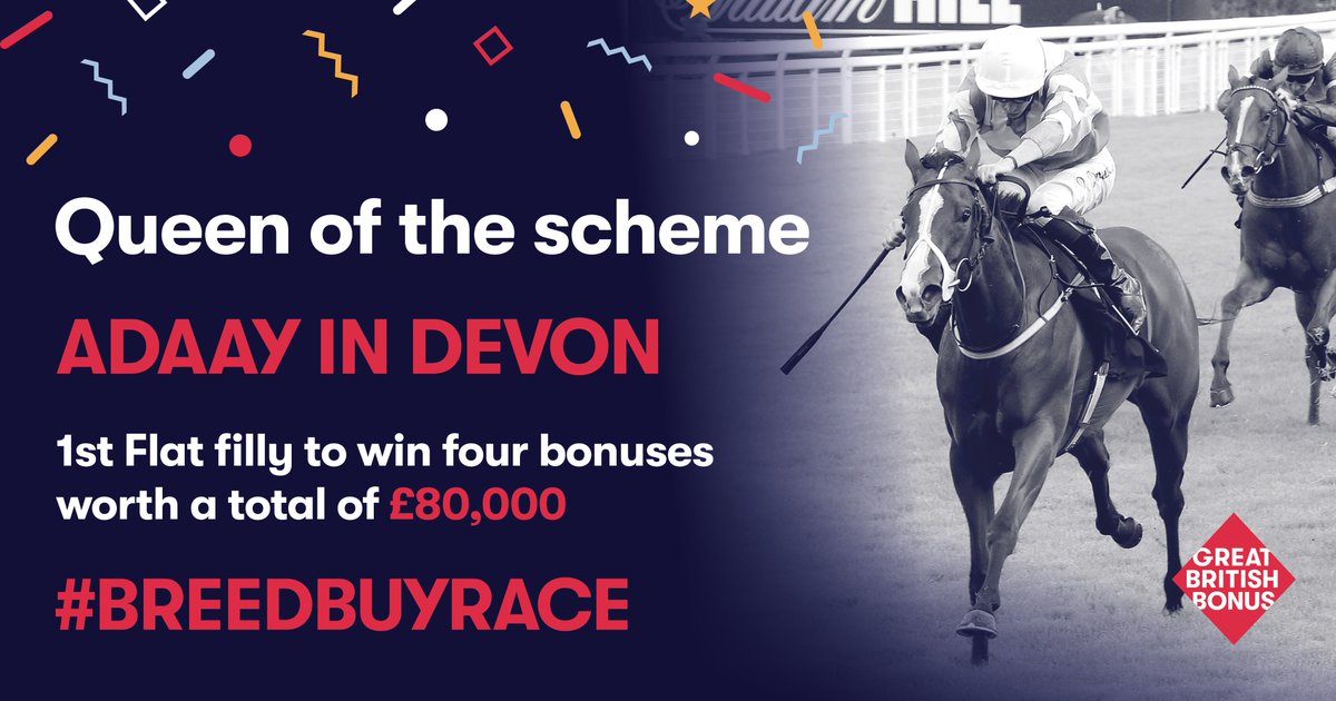 👑ADAAY IN DEVON 👑 4 GBB Wins = £80,000 in bonuses Huge congrats to Rod Millman, Horniwinks Racing Club, the team at home & jockeys @oismurphy, @davidprobert9 & @OliverSear41482 GBB wishes her the best of luck for her future endeavours @jrmillman @TheTBA_GB @rpbloodstock