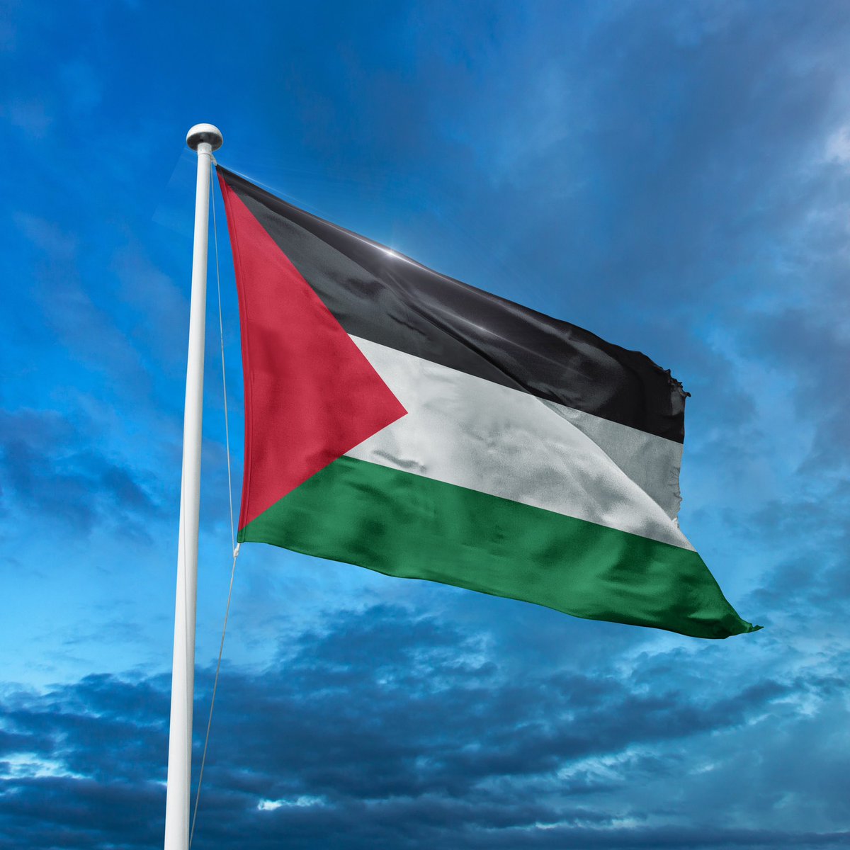 Sultan - سلطان (@sultan_center) on Twitter photo 