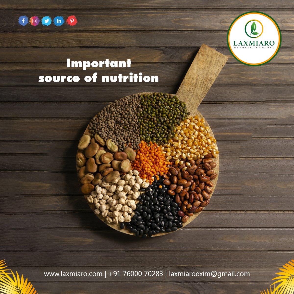 Laxmiaroeximllp's tweet photo. Important Source of Nutrition @Laxmiaroeximllp
Shop Now : https://t.co/6nwIAembpb
#laxmiaro #laxmiaroexim #laxmiaroeximllp #Northernbeans #Soybeans #SplitPeas #Peas #mung #BlackBeans #Chickpeas #highquality #kidneybeans #Limabeans #rise #fruit #vegetable #bangaladesh #nepal https://t.co/fZvWq0jZUk