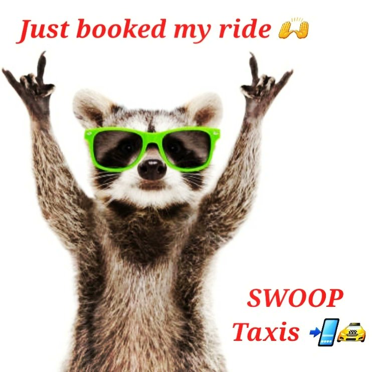 We're here for you #swindon just #download our easy #app &amp; #letusswoopyouup 📲🚖  #taxi #taxiservice #taxis #business #twitter #ride #cab #wednesday #swooptaxis  #happyhumpday #wednesdaythought #Wednesdayvibe #businessowners #wiltshire #midweek #RideWithUs #travel #rain #rainy