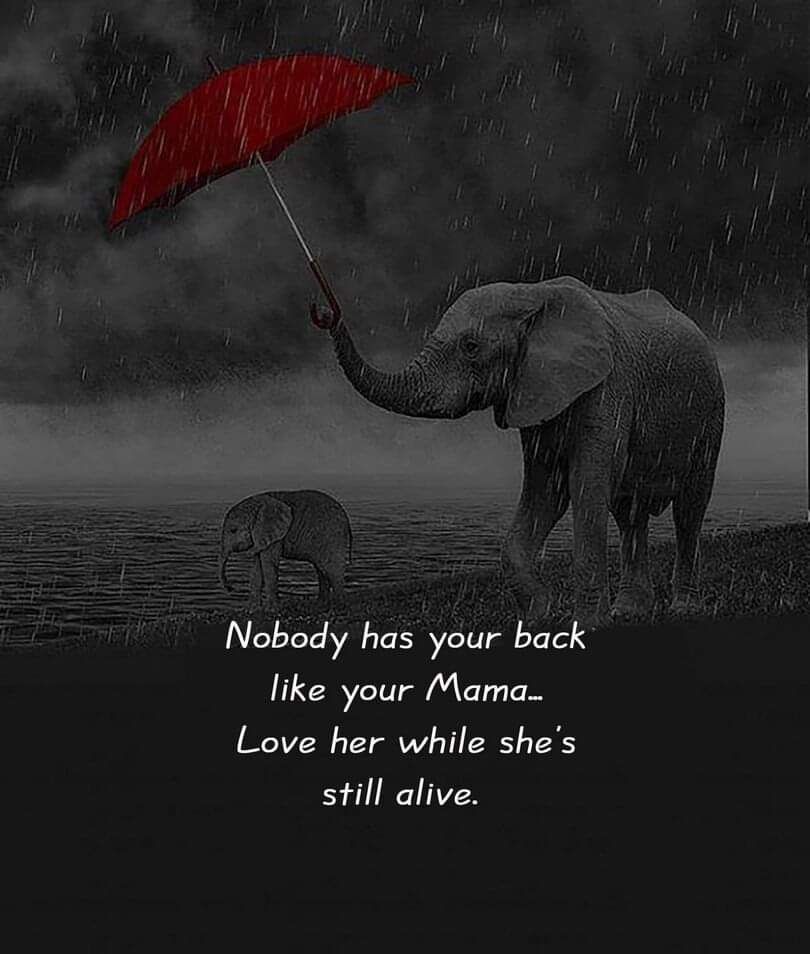 QuotePsychology's tweet photo. https://t.co/pmyCD3pr84