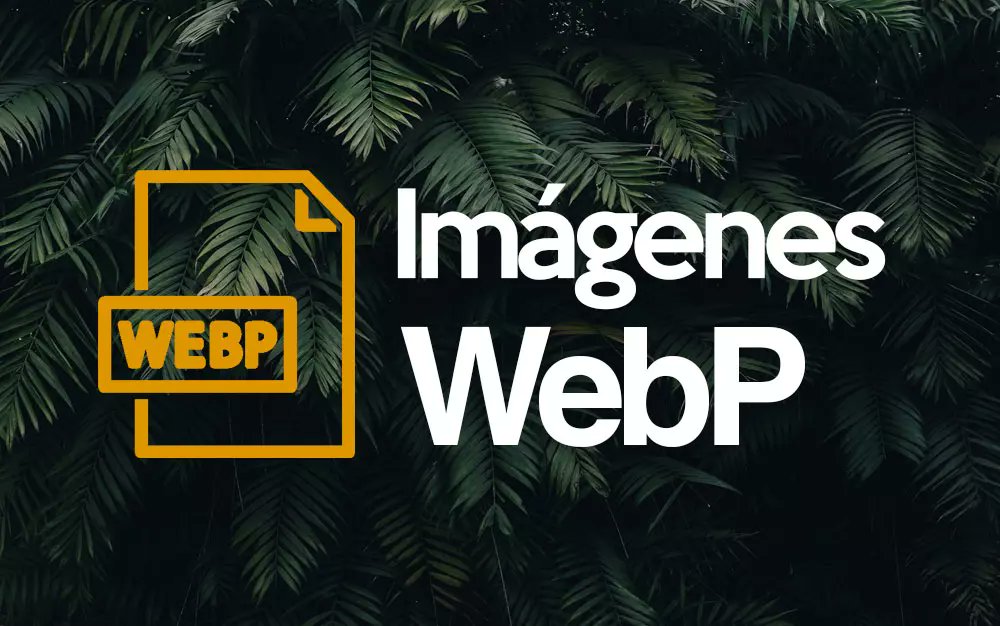 Brandevs's tweet photo. El formato de imagen WebP es un tipo de archivo cada vez más popular en la web debido a sus ventajas en tamaño y velocidad de carga. https://t.co/bfejLLnozd https://t.co/WhLvHgvedp