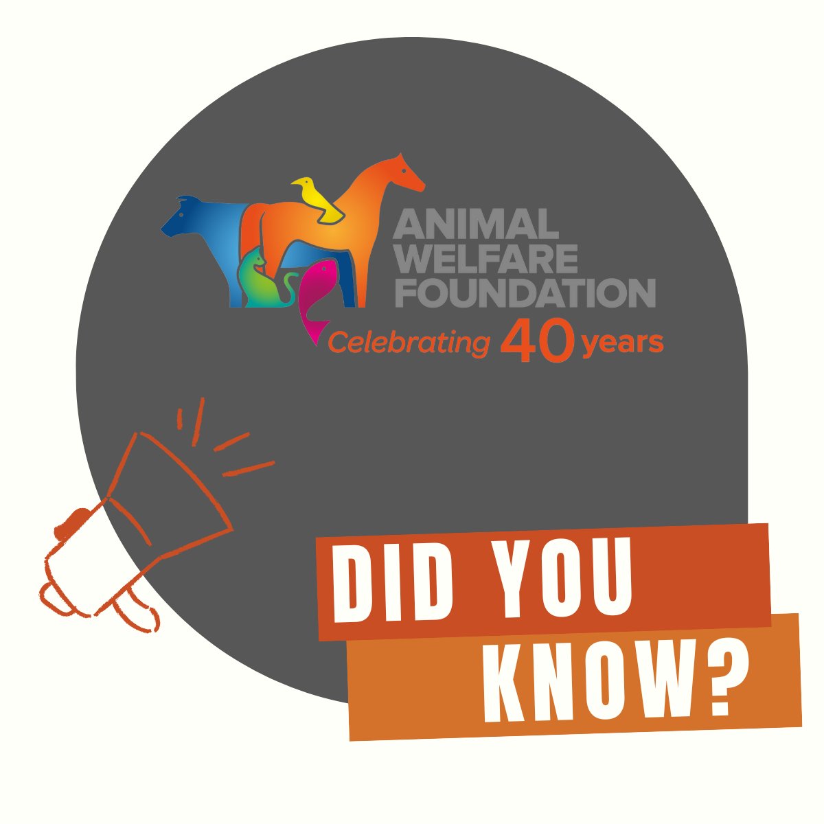 📢Did you know? We worked with @TheLinksGroup to help support veterinary professionals in recognising abuse in animal & humans. You can find out more about this work & download the guidance here 👇animalwelfarefoundation.org.uk/animal-welfare…