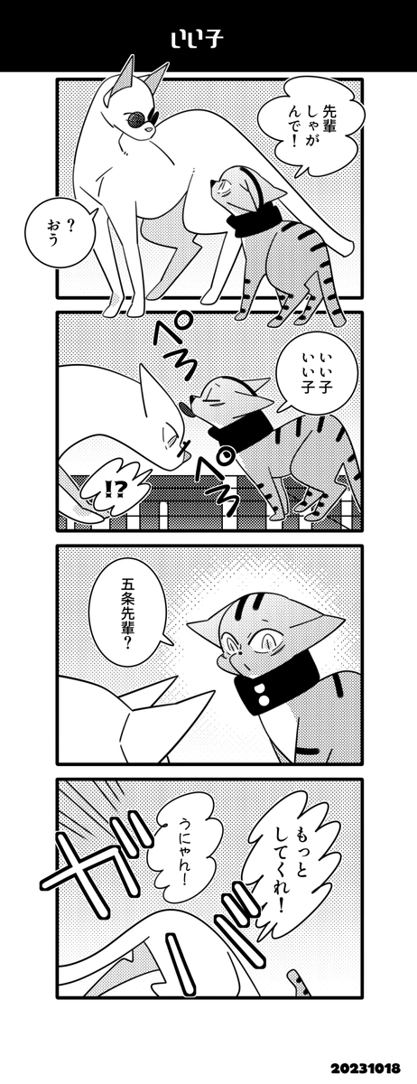 猫五悠🐾