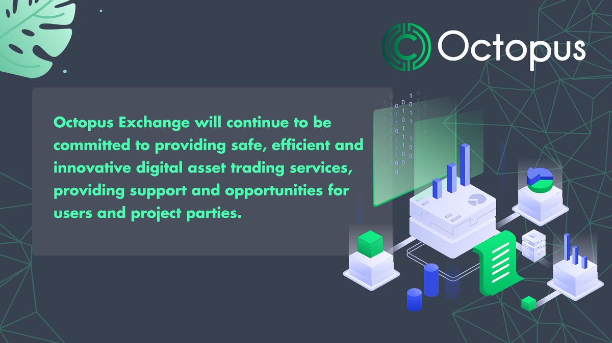 Octopus Global (@octopus__global) on Twitter photo 