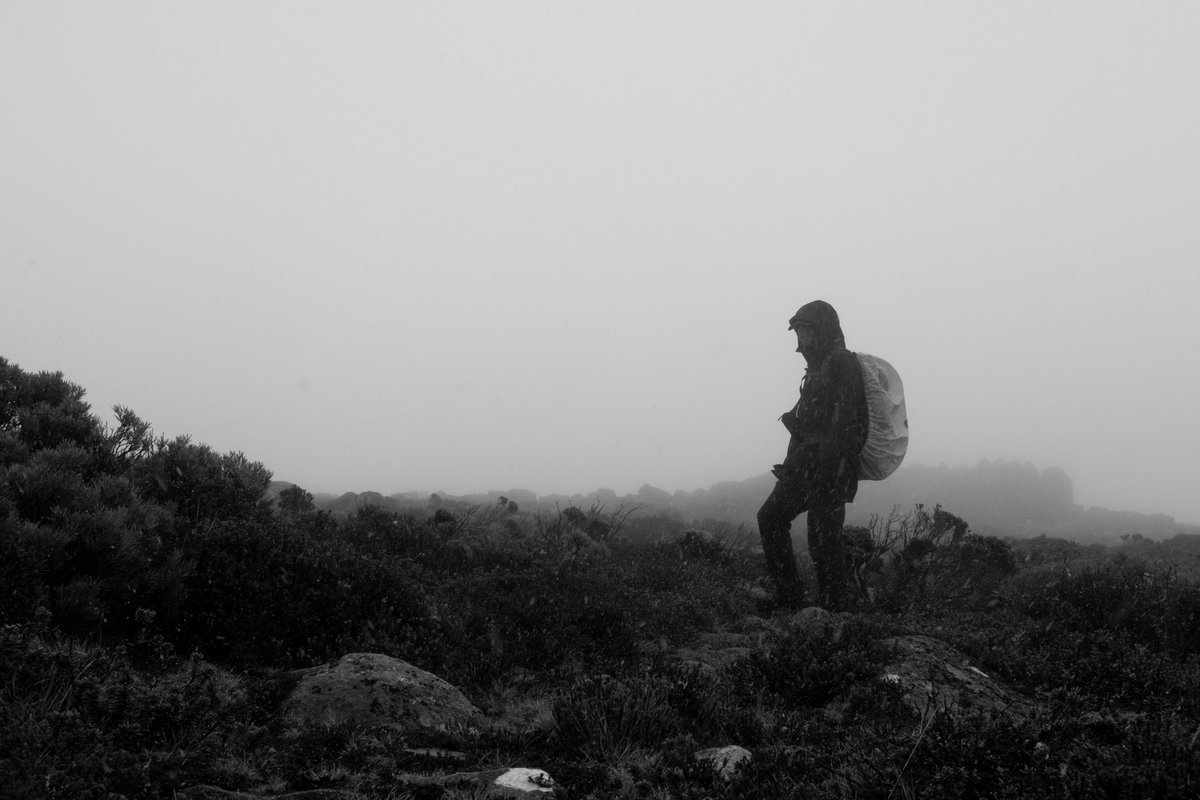 Self portrait on the plateau.

#photography #blackandwhite #bnw #monochrome #digital #selfportrait #mountain #hiking #snow #tasmania #kunanyi #mtwellington