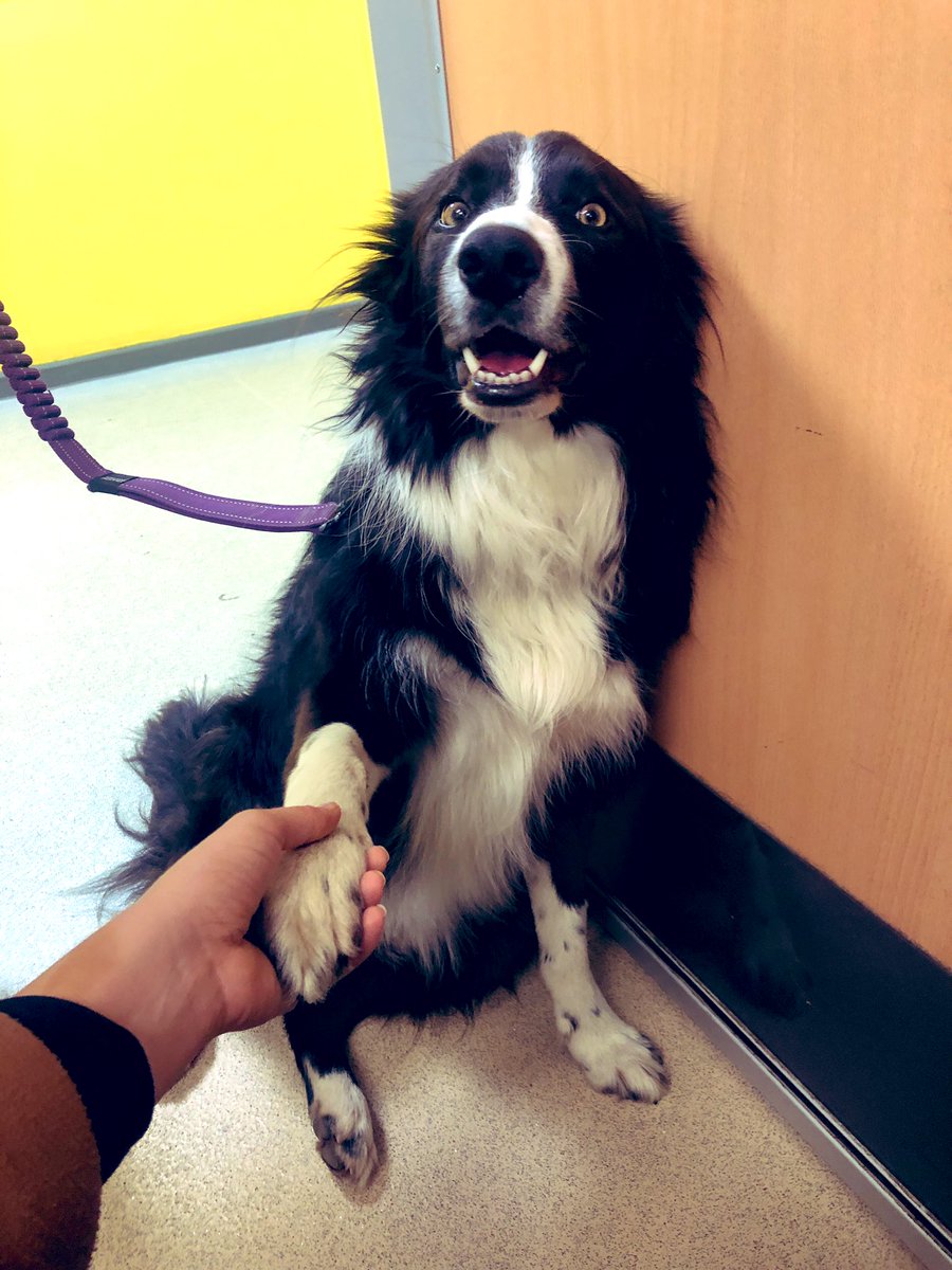 Couldn’t have a better start to my morning 😍😍😍 we love Sid 💕💕