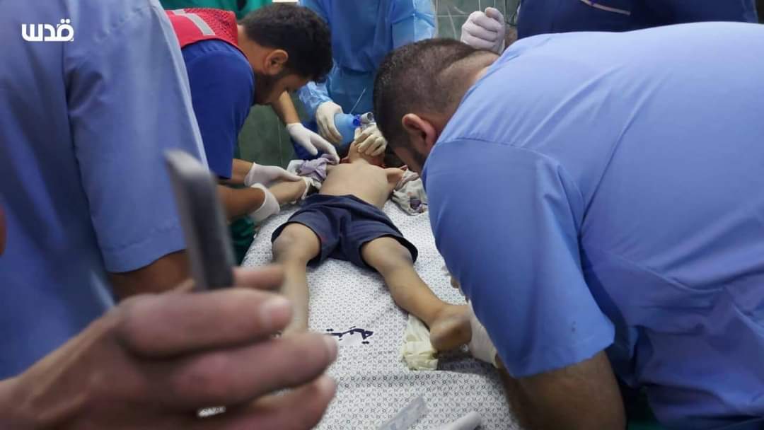 The Inside- Palestine tweet media