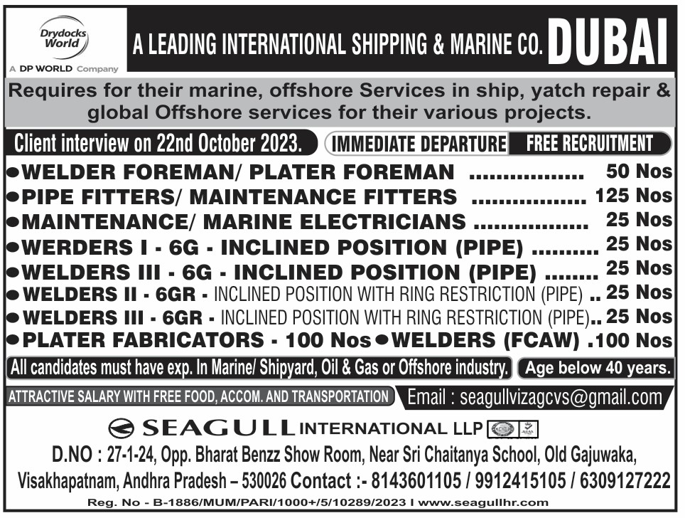 hrd1_seagull's tweet photo. 🇦🇪Dubai Jobs
‼️Free Recruitment
🛫Immediate Departure
🗓️Client Interview On 22nd October 2023
.
.
.
#dubaijobs #seagull #welderforeman #platerforeman #pipefitters #maintenancefitters #marineelectricians #platerfabricators https://t.co/YiCyMI94pd