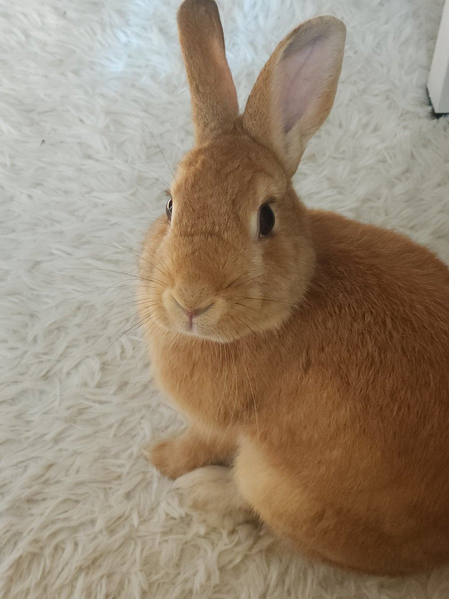 GNdiary0320's tweet photo. 23.10.18

오늘의 광남이

#광남이일기 https://t.co/dVVoGB6Ffy