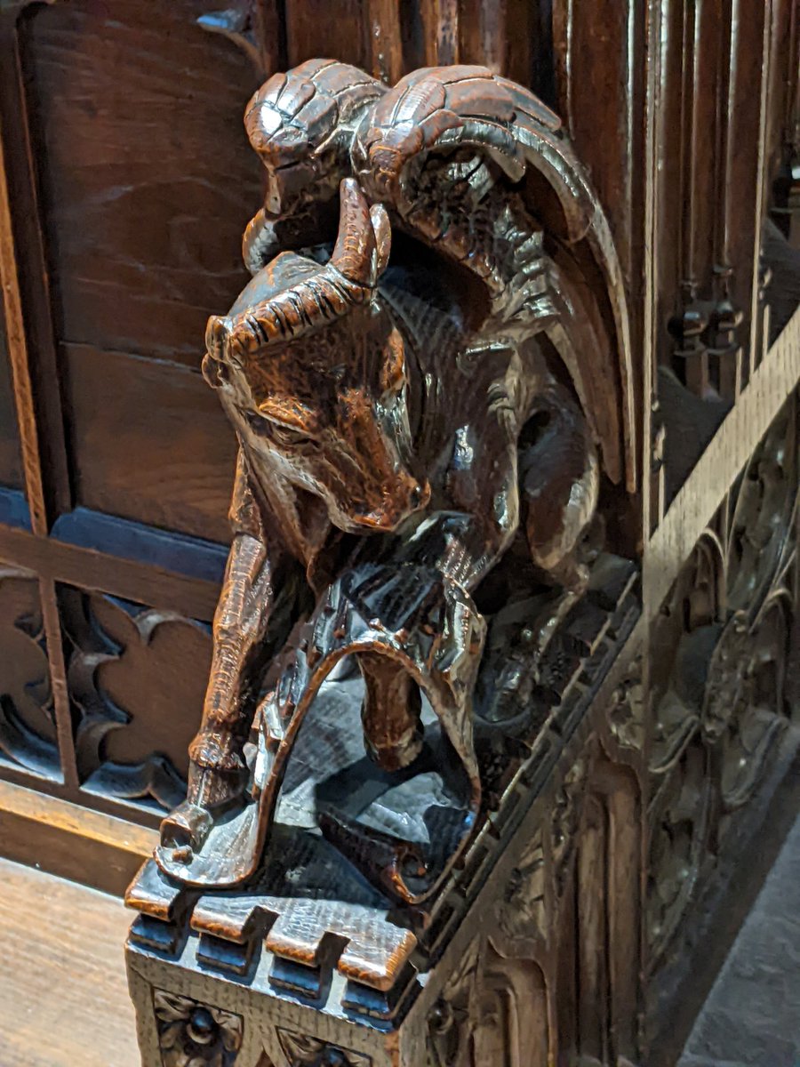 A winged ox for St Luke's day - from Chester cathedral 
#Woodensday