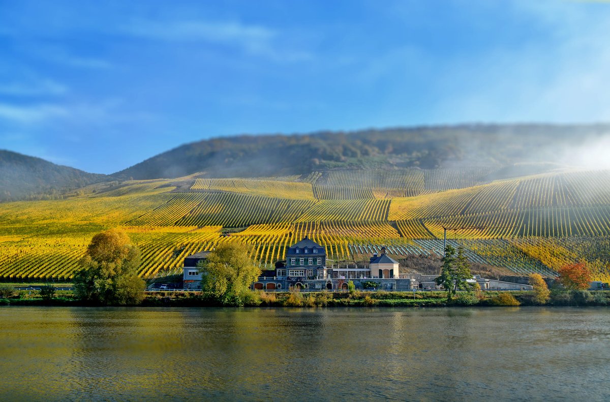 Tropos Wine Times (@troposwinetimes) on Twitter photo Φθινόπωρο στην οινική περιοχή του Mosel στη Γερμανία
Οινοποιείο ( Weingut) Dr. Loosen
Bernkastel, Mosel, Germany
October 2023
photo by <a href="/ChrisMarmann/">Chris Marmann</a> Φθινόπωρο στην οινική περιοχή του Mosel στη Γερμανία
Οινοποιείο ( Weingut) Dr. Loosen
Bernkastel, Mosel, Germany
October 2023
photo by <a href="/ChrisMarmann/">Chris Marmann</a>