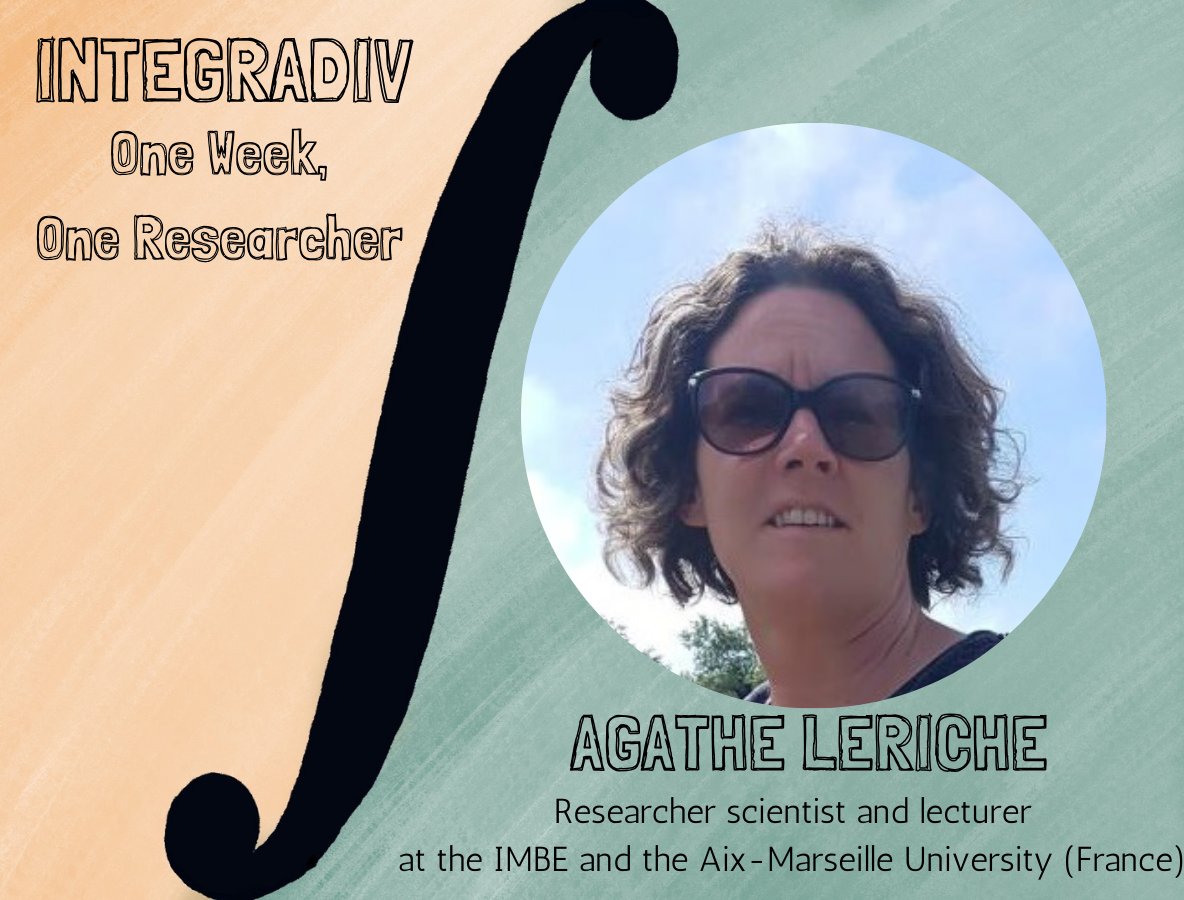 integradiv's tweet photo. 🌿Agathe Leriche works at @imbe_marseille and applies spatial modeling approaches to study the mechanisms involved in the origin of Mediterranean biodiversity & likely consequences of global change 🗺️She’s the PI of the INTEGRADIV project!
#meetINTEGRADIV #OneWeekOneResearcher https://t.co/I3DxShcy22