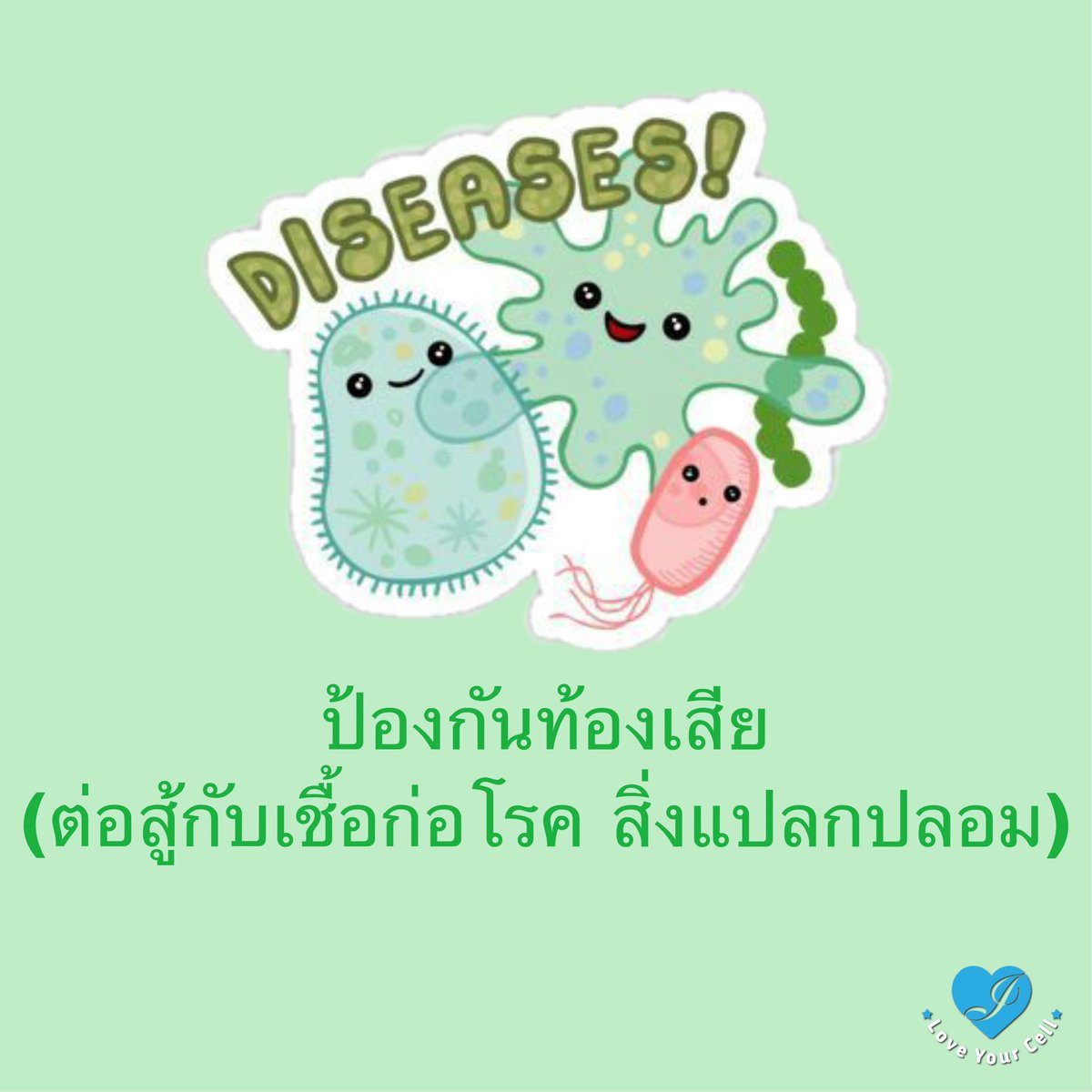 Love YourCell tweet media