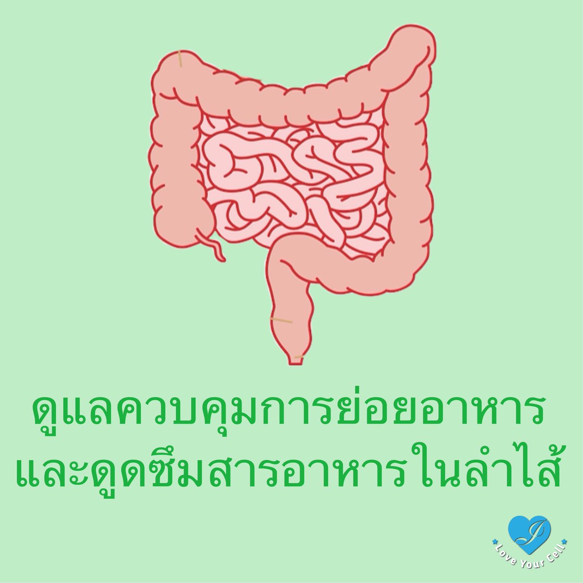 Love YourCell tweet media