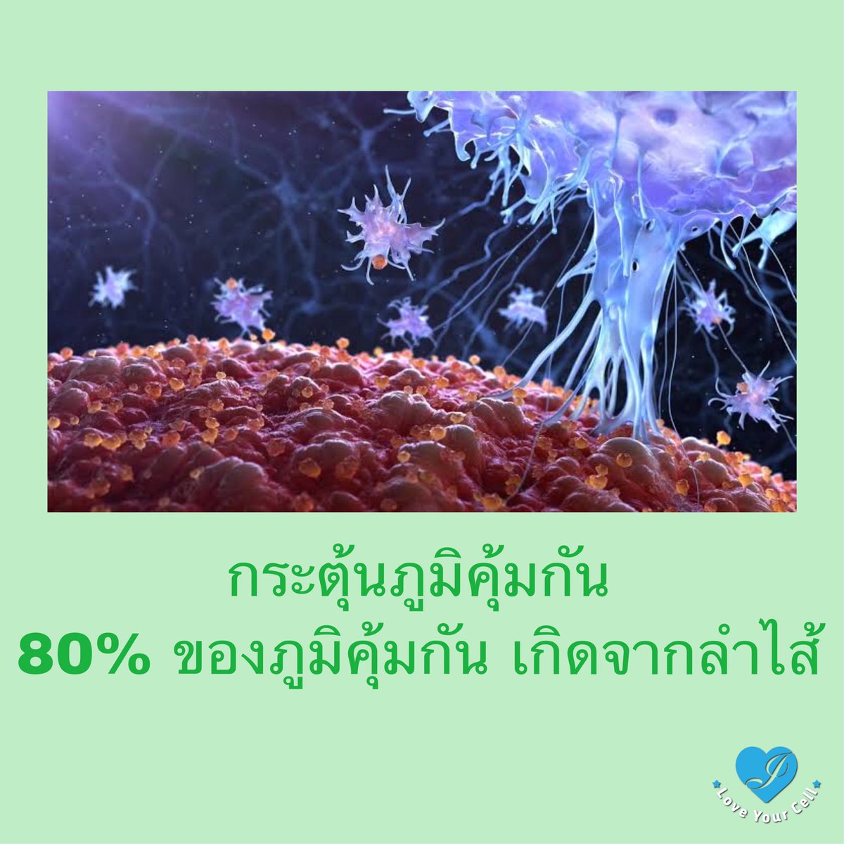 Love YourCell tweet media