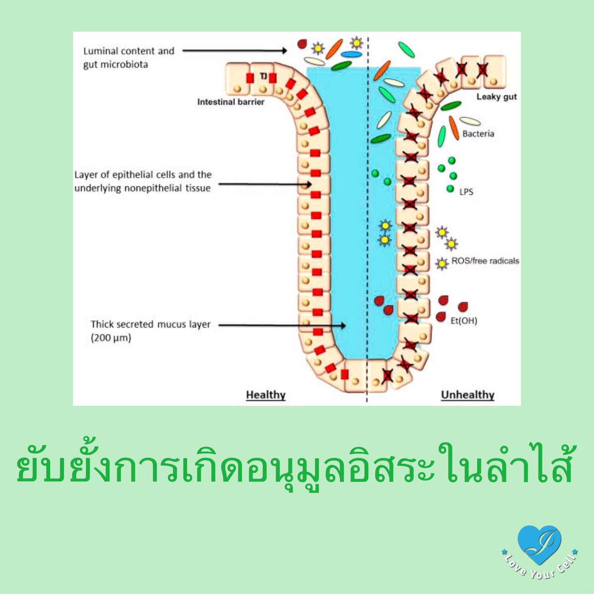 Love YourCell tweet media