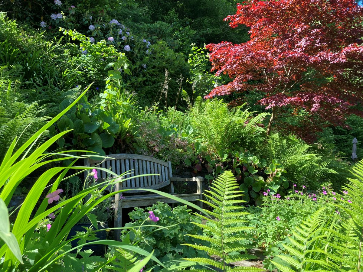 We make it easy for you to have a #green holiday:
* free charging for your electric vehicle
* clearly-marked recycling bins 
* refillable toiletries
and much more... bit.ly/3KkUJjF

#NationalRecyclingWeek
#Sustainability 
#ecotravel
#holidaycottages
#loveMonmouthshire