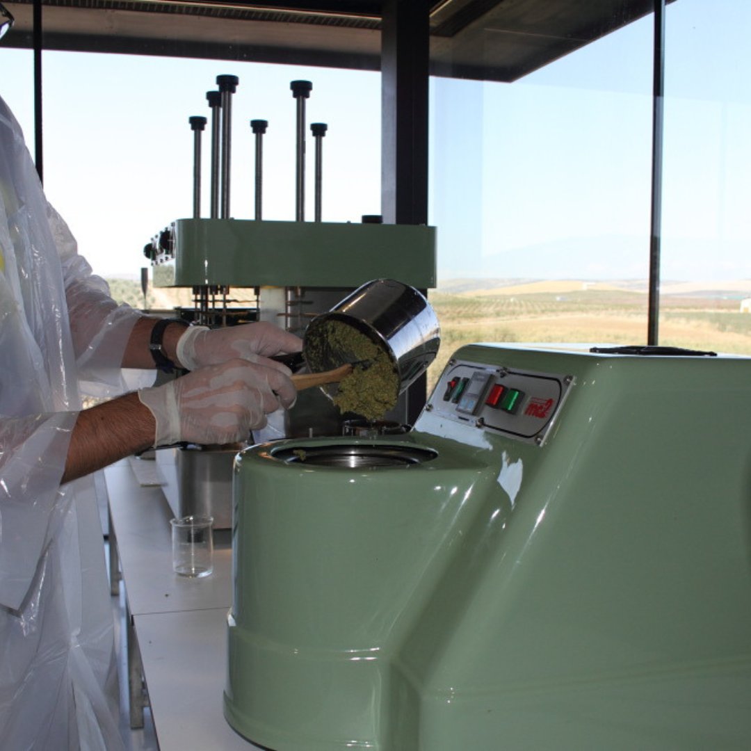 🌱 El Museo Terra Oleum te lleva al corazón de la producción de oro líquido. Desde la recolección de la aceituna hasta la extracción del aceite, exploramos la evolución tecnológica de esta antigua tradición.

💻 terraoleum.es
📩 info@terraoleum.es
📞 953 274 976