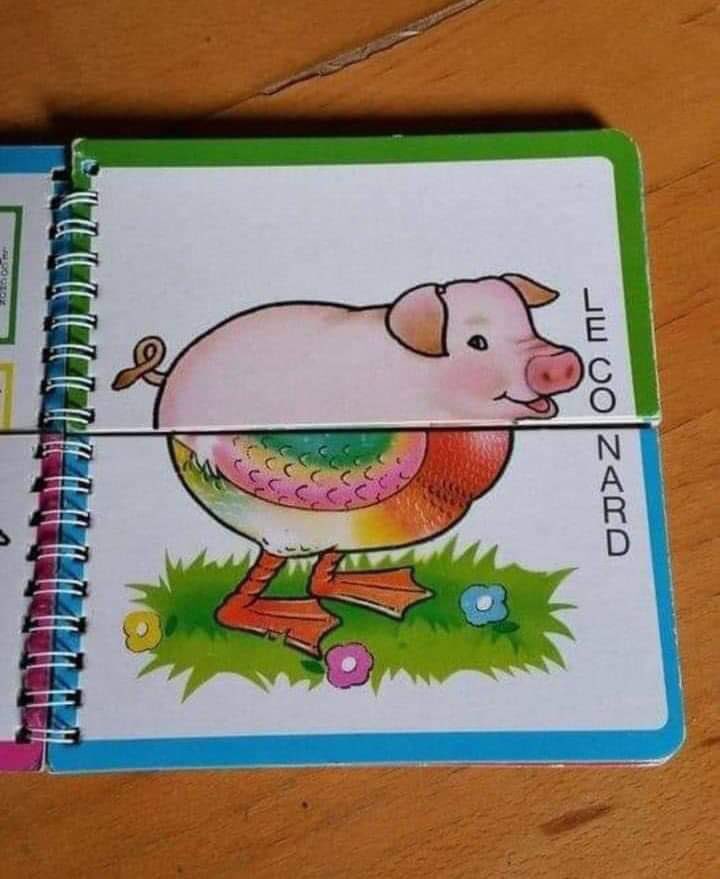 Simple coïncidence ? #NousSachons