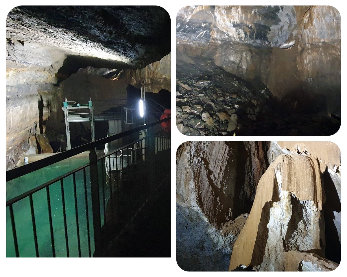 Jean Duncan tweet media