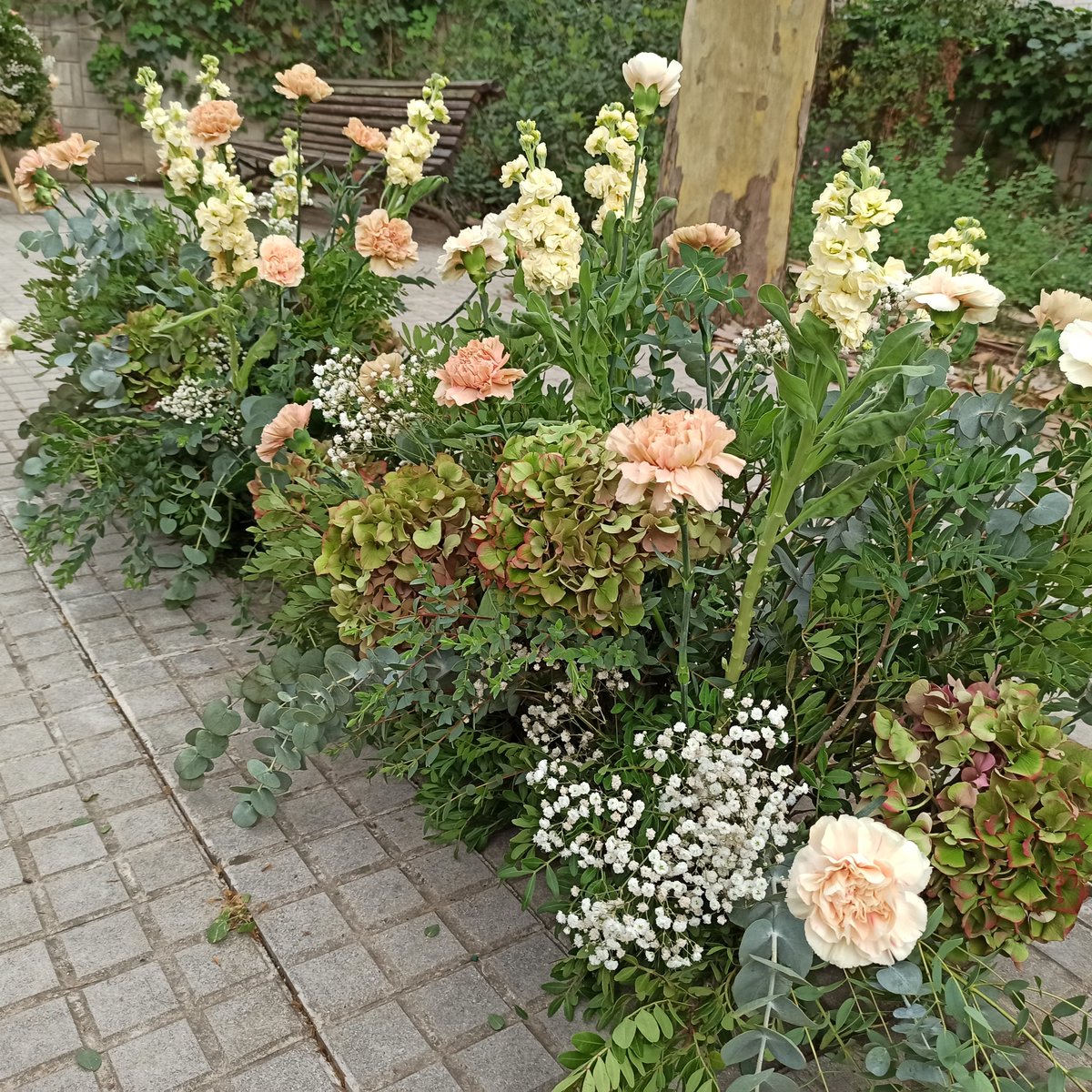 CIFO Santa Coloma tweet media