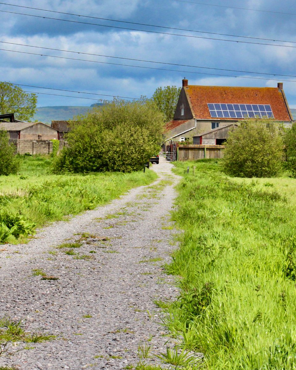 Somerset Wildlife Trust tweet media