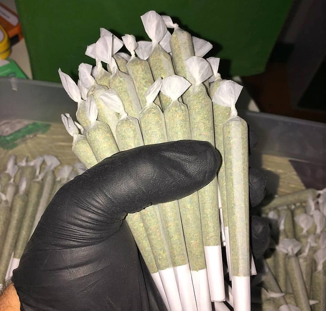 AlisonM038's tweet photo. @KristopherFoll2 Come to my DM 🪴🍃 😤 l if you need cannabis https://t.co/Slft47TZnX