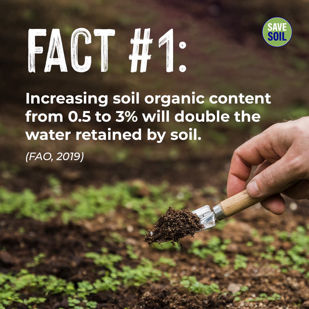 cpsavesoil's tweet photo. Are you Soil-literate? The importance of literacy cannot be understated - but it is equally important to make people more literate about the environment, especially about the role the soil plays in our lives. If people are more informed and educated, they can make more conscious choices and better understand the importance of implementing soil policies.

Action now: https://t.co/uVnQCIZ3pr

#SaveSoil
