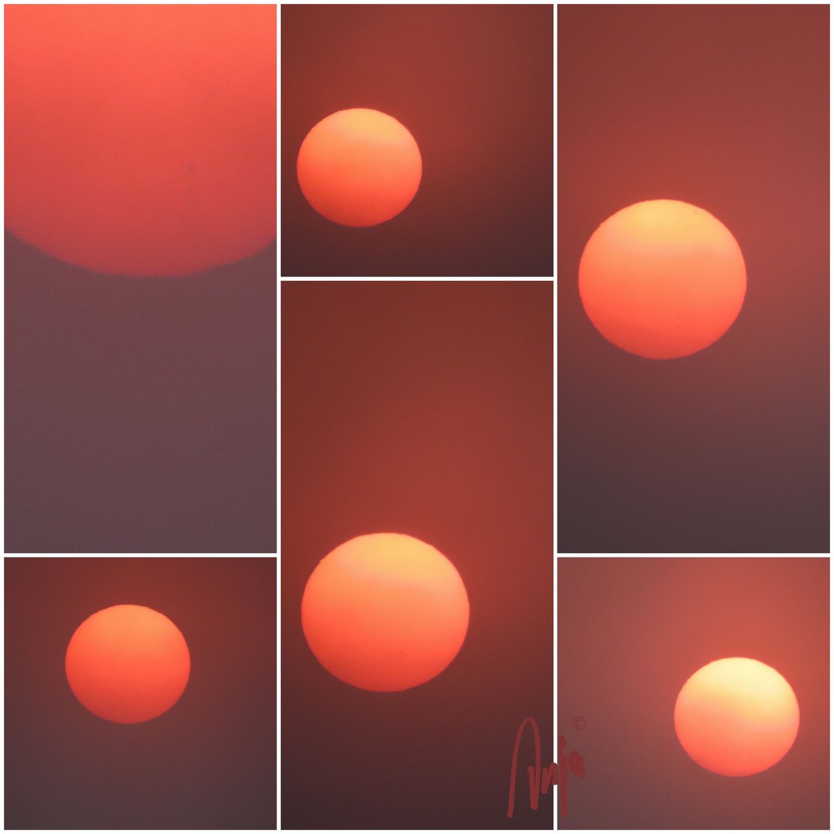 When you cannot choose which photo you like best 🤣
#sunset #photography #nature #outdoors #NaturePhotography #NaturePhotography #natureisart #sun #ColourSplash 
#Botswana #Africa