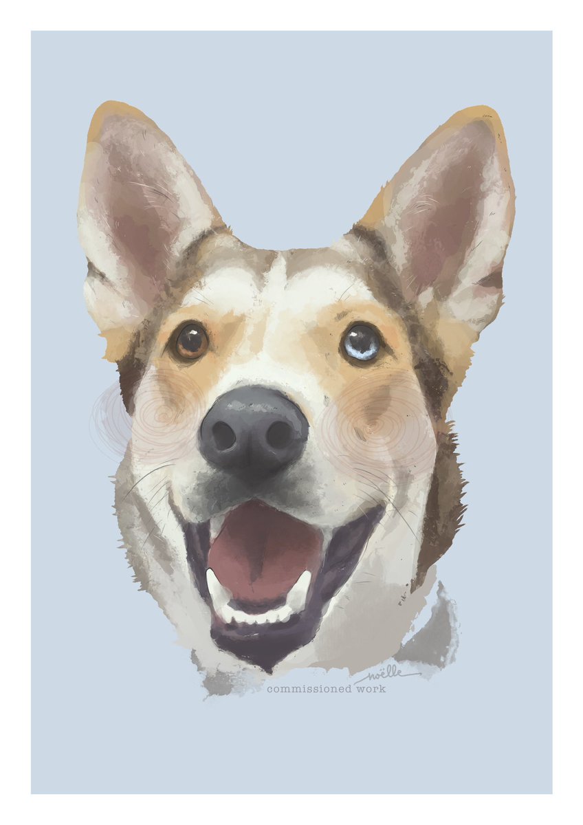 Hoy os comparto al bonito de Bowie 🩵 Recordad que si queréis encargar una ilustración para regalar por Navidad debéis pedirla AHORA. Es un trabajo personalizado hecho a mano que requiere tiempo y mucho mimo 🤲🏻✨ Tenéis el formulario en el enlace de mi bio 🎨 ¡Gracias!