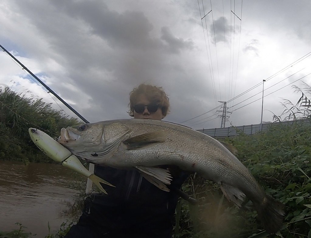 ikebo08's tweet photo. ボテボテの秋らしいいい魚！！
まだまだ秋は始まったばかり^_^
Tackle data↓
Rod：Monster Impact 91BH 

Reel： CALCUTTA CONQUEST 300XG

Handle：VARIAL95 EVA KNOB ]-FAT

Lure：Klash9

Hook：SPEAR-21 SS

#seacret https://t.co/zcxDZq4fni