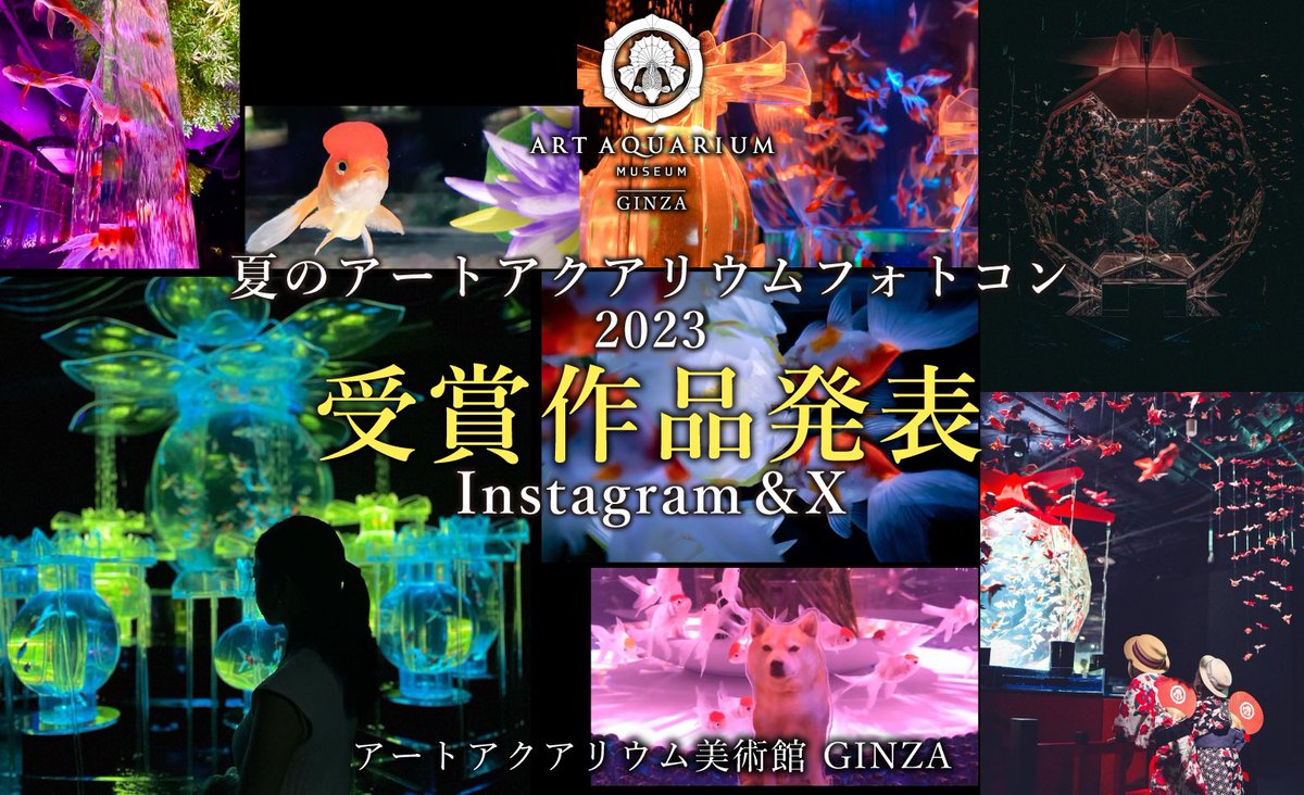 tamuyorke's tweet photo. 銀座���アートアクアリウムのフォトコンテスト（テーマは涼）で最優秀賞貰ったwww   https://t.co/QW7C8SiDuk  写真はたまに褒められるから嬉しい！！…と言っても、iPhoneでしか撮った事ないけどw https://t.co/nab6T69CsO