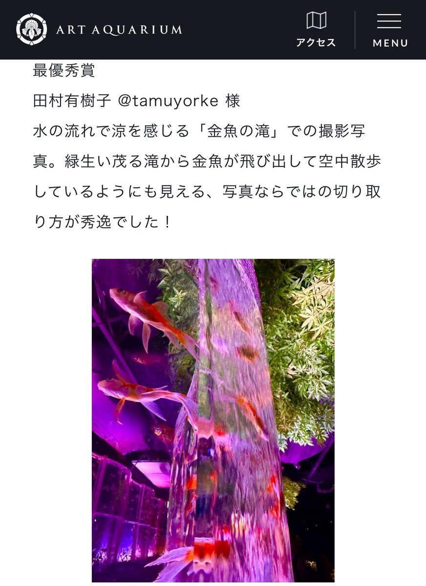 tamuyorke's tweet photo. 銀座���アートアクアリウムのフォトコンテスト（テーマは涼）で最優秀賞貰ったwww   https://t.co/QW7C8SiDuk  写真はたまに褒められるから嬉しい！！…と言っても、iPhoneでしか撮った事ないけどw https://t.co/nab6T69CsO