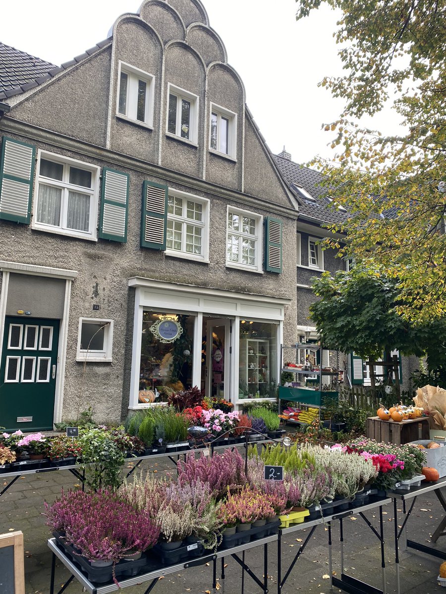 Amy Gerrish tweet media