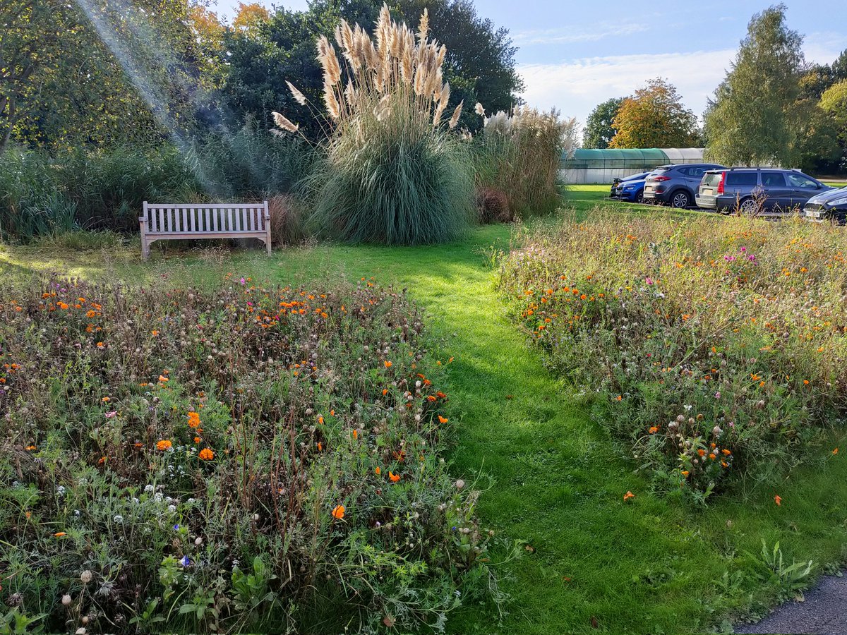 JoanaGVicente's tweet photo. Two great days @WarwickCrop for the @UKBRC, #OREGIN and #VeGIN meetings. Very interesting talks on research, the @WarwickGRU germplasm collections, challenges and priorities for breeding in the future. Pest and disease resistance still as relevant as ever! https://t.co/2ZpOl8QnYe