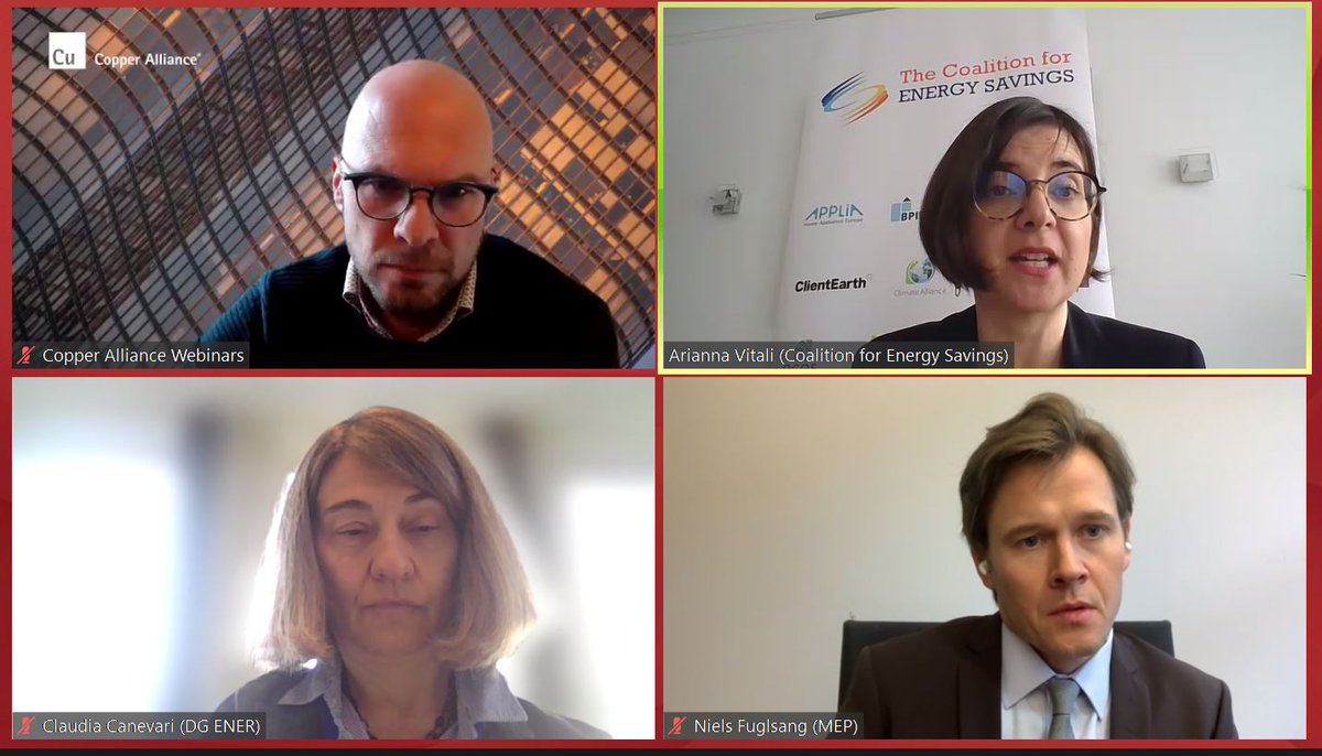 Our Secretary General @AriaVR is speaking at the first webinar of the Energy Efficiency Academy series on the #EED implementation! 'We are happy that the EU has a new #EED but implementation must start as soon as possible to deliver the benefits of energy savings.' #EEAcademy