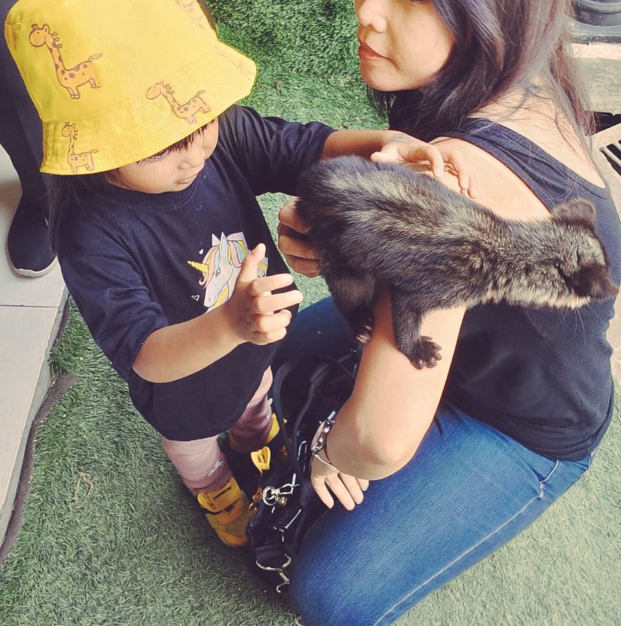 KsiskiaK's tweet photo. 👧 "ibu aku gemes, lucu... "
👩‍🦰"pegang aja kak ga apa apa. Baik ko ini. "
👧(setelah di pundak dia), "baik bu ini"
👩‍🦰"baik kaaaan ☺" https://t.co/CC2AODpF62