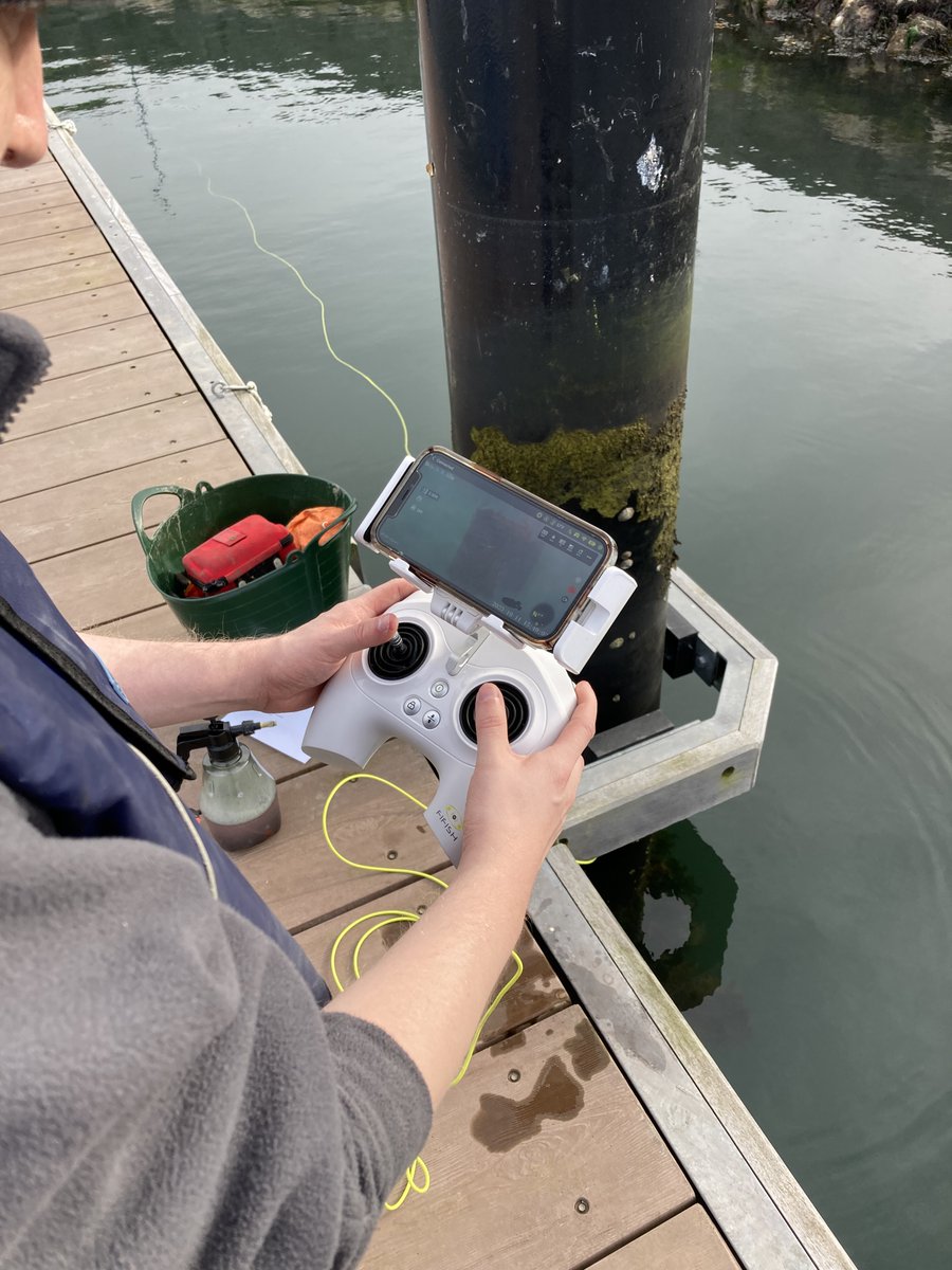 Last week our staff development day was hosted in Glenarm which gave us the perfect opportunity to show colleagues around our native oyster nursery and how we operate our ROV. A shanny even made an appearance for us from one of the oyster cages!