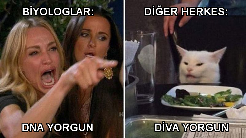 İsmail Kaşoğlu (@eessau) on Twitter photo 