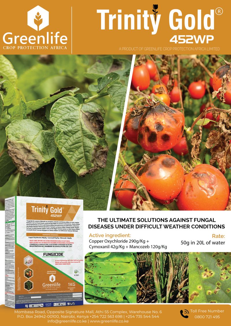 3 IN 1 SOLUTION Blight control in tomatoes is problematic but armed with TRINITY GOLD 452 WP 50g + Integra 3ml in 20L of water you put all blight under control. Don’t get stuck, Call us free 0800721495 #UkulimaNiGreenlife #YourGrowthOurGrowth