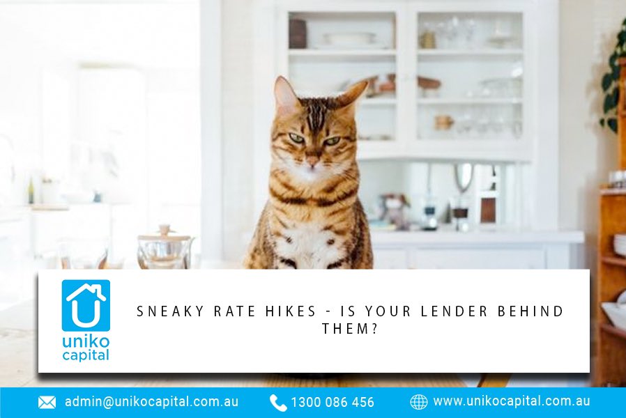 🐈‍⬛ Sneaky rate hikes - is your lender behind them? 🐈‍⬛⁣
⁣
To know more, Speak to us today!
☎️ 1300 086 456
📧 admin@unikocapital.com.au
.
.
#loan #finance #money #mortgage #realestate #finance #truckloans #homeloan #personalloan #loanofficer #business #investment