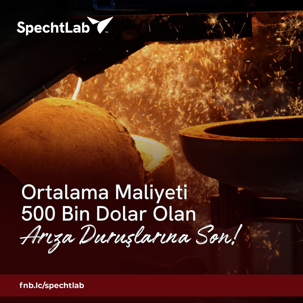 SpechtLab tweet media