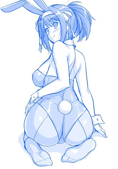 バニーハルヒさん 